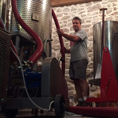 Make wine